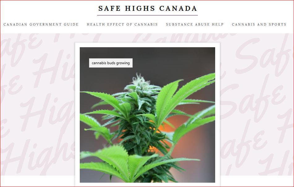 safe high canada